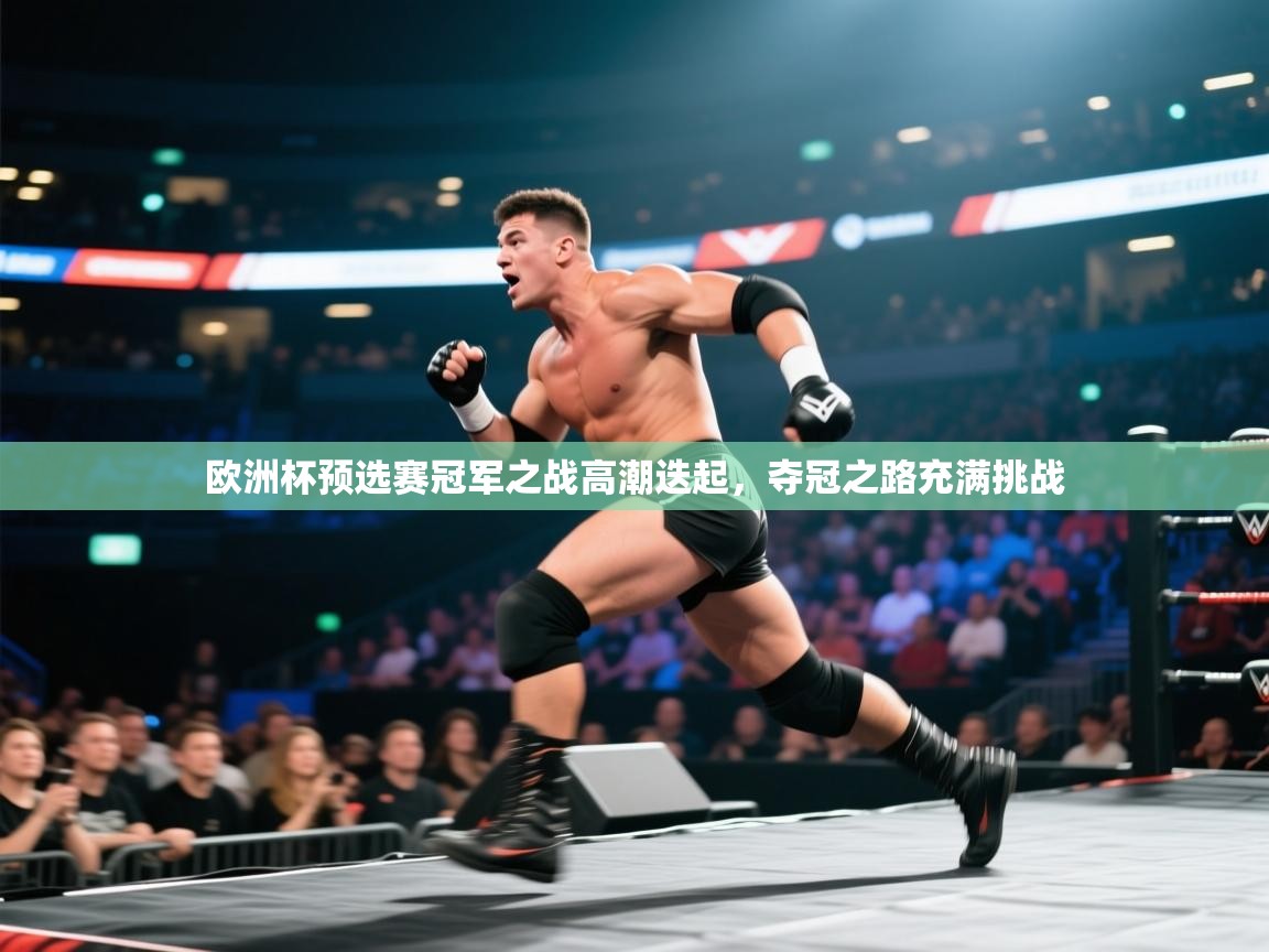 欧洲杯预选赛冠军之战高潮迭起,夺冠之路充满挑战 第2张